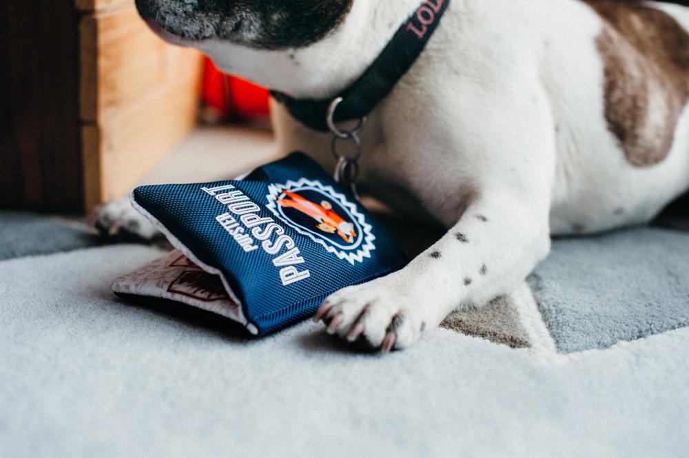 Fun Travel - Pupster Passport Toy