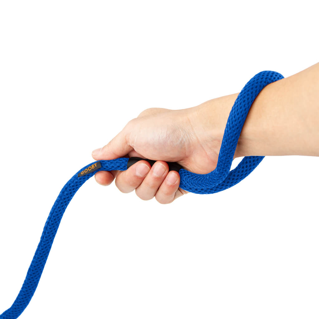 Mesh Leash