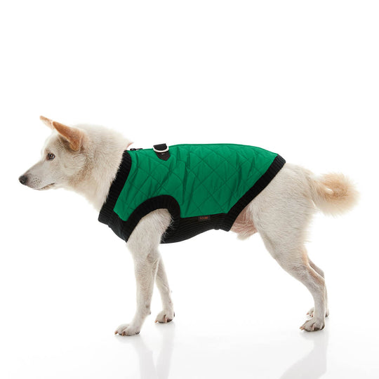 Fashion Vest - Green