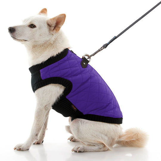 Fashion Vest - Purple