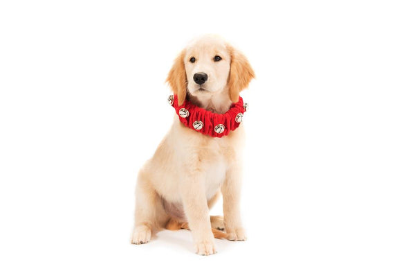 Jingle Bell Collar Red M
