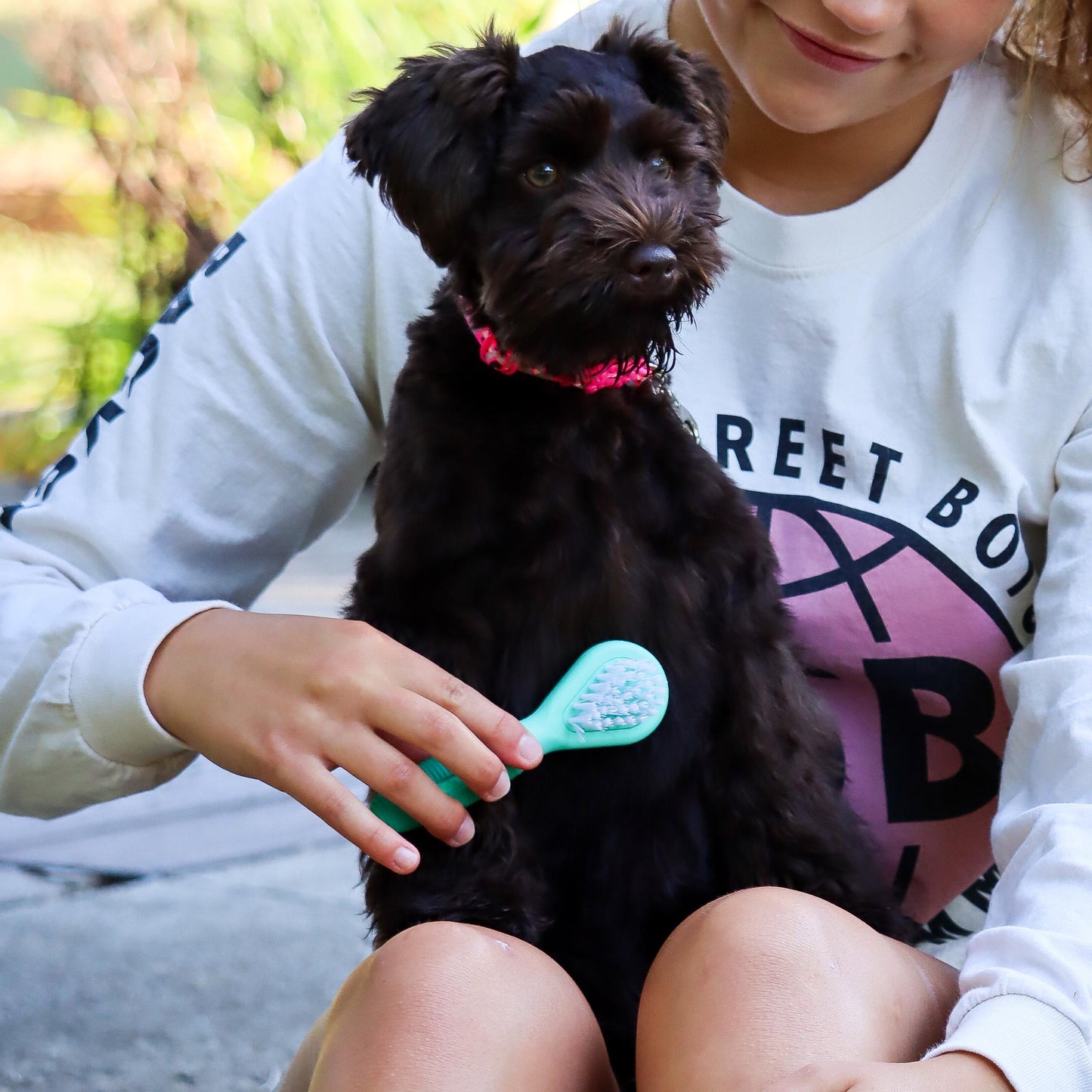 Li'l Pals Dog Combo Brush