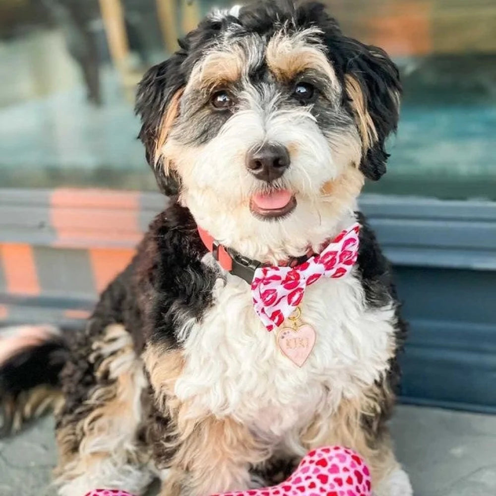 Kisses Bow Tie