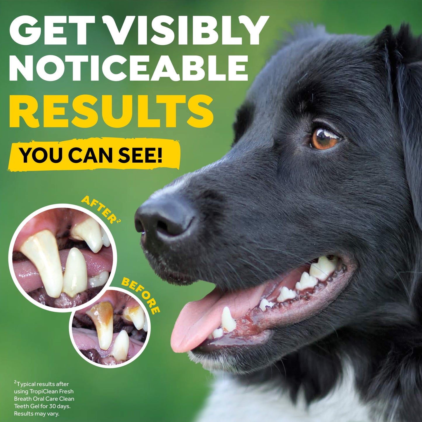 Tropiclean Fresh Breath Dental Trial Kit (2-Week Supply)