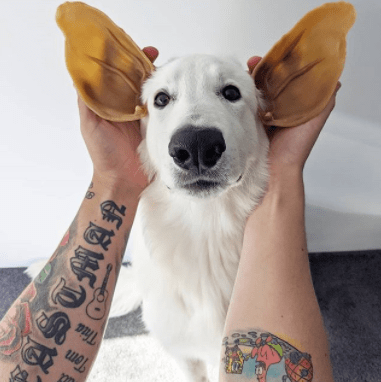 Whimzees Veggie Ear