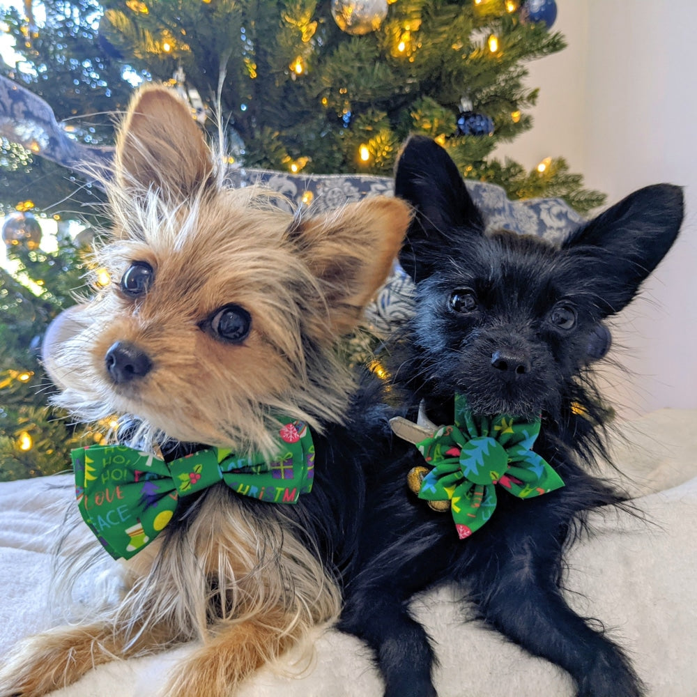 Merry & Bright Pinwheel