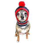 NFL Knit Pet Hat - New England Patriots