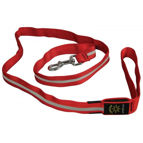 LED Light-Up Leash