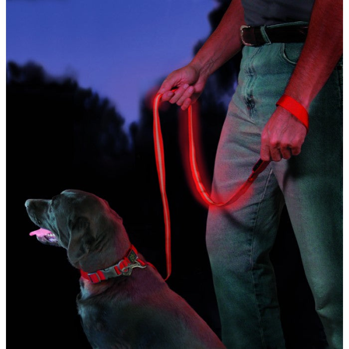 LED Light-Up Leash