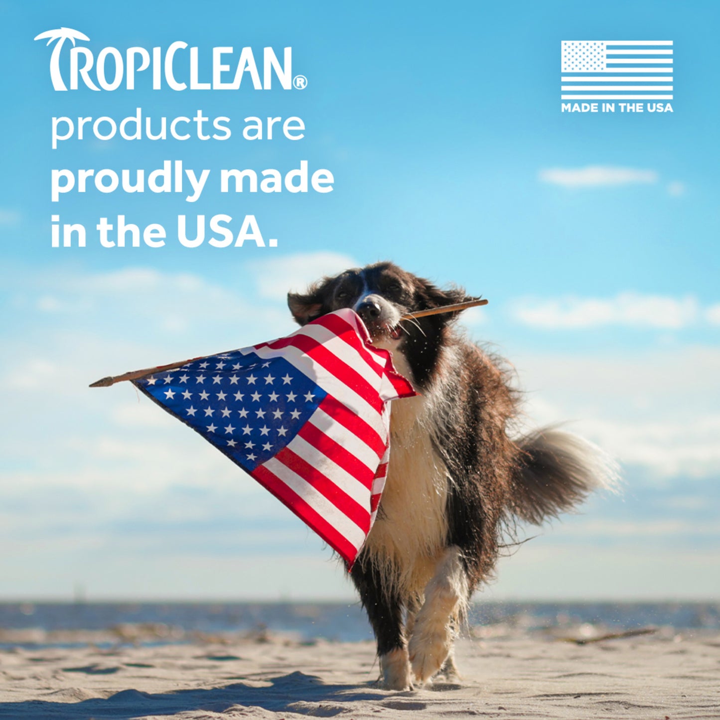 TropiClean Alcohol-Free Ear Wash 4oz