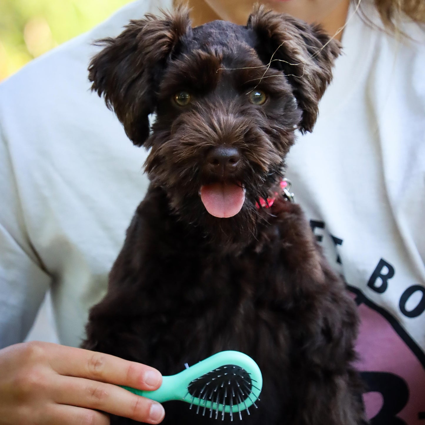 Li'l Pals Dog Combo Brush