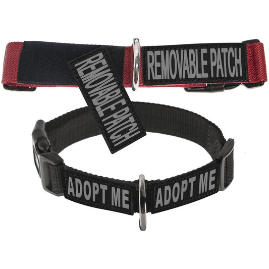 Omega Nylon Flat Collar ( Built-in Hook & Loop Fastener )