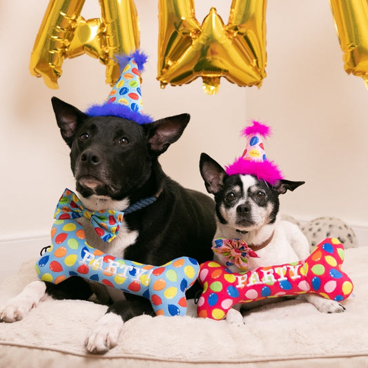 Party Time Hats with SnugFit