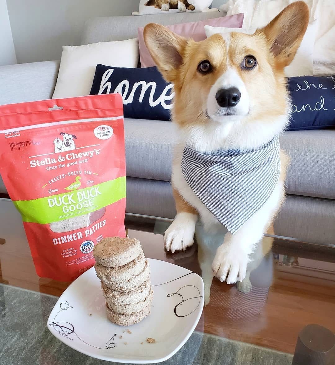 Stella&Chewy's Dog Food - Duck Duck Goose Freeze-Dried Raw Dinner Patties