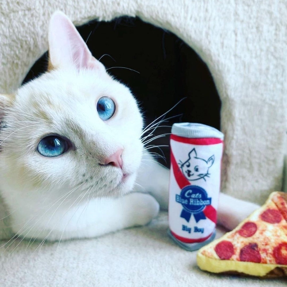 Pizza Cat Toy