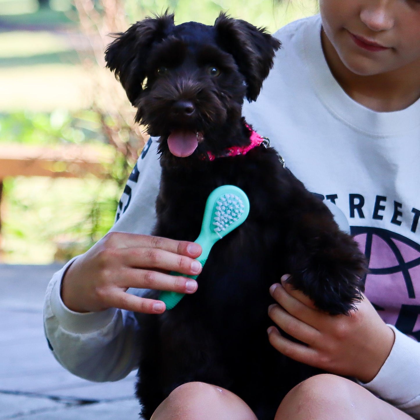 Li'l Pals Dog Combo Brush