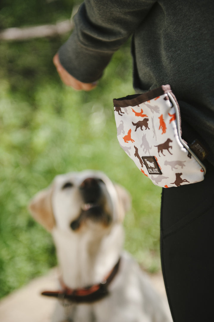 Compact Training Pouch