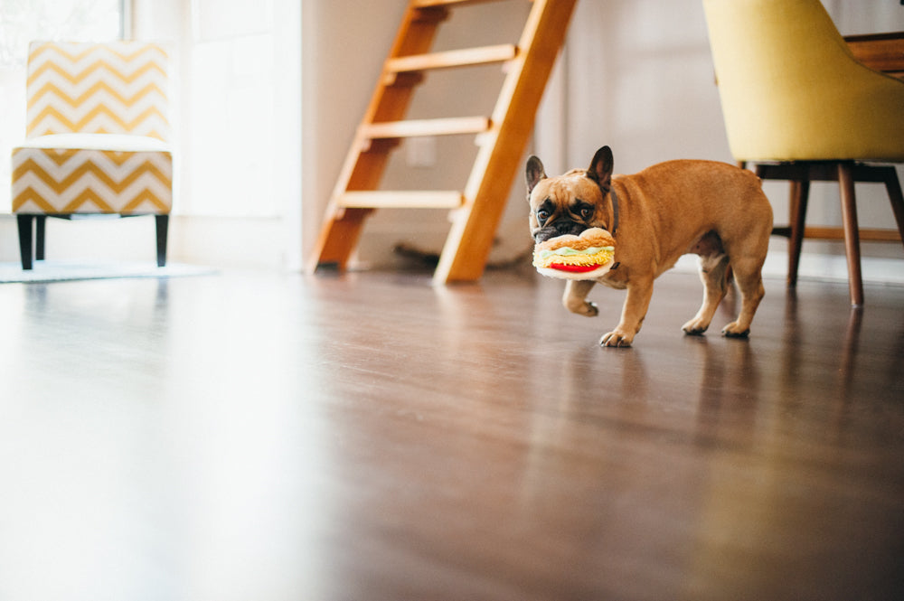 International Classic Taco Toy