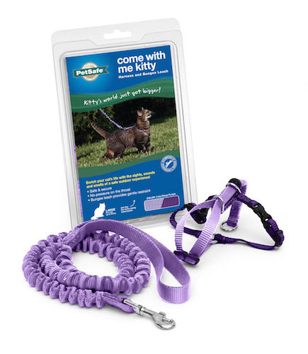 Come With Me Kitty Cat Harness & Bungee Leash