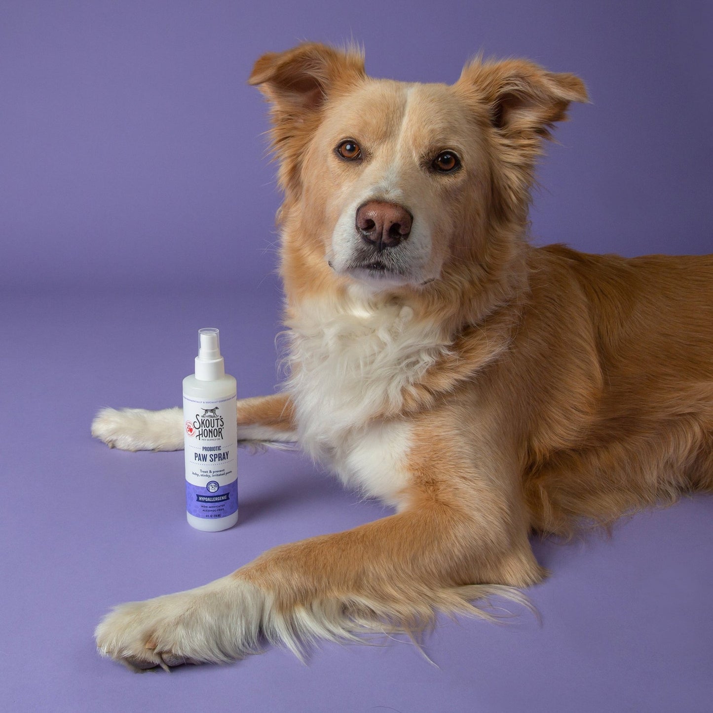Skout's Honor Probiotic Paw Spray (8oz)