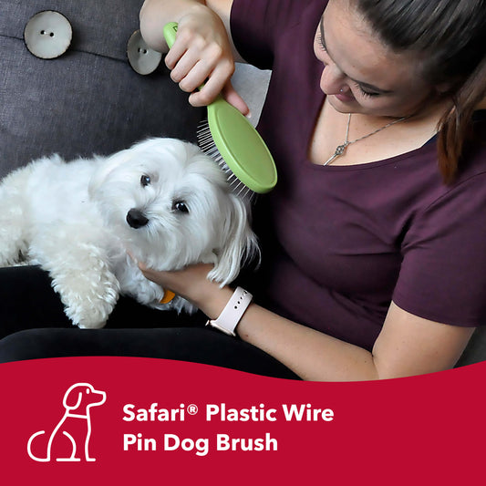 Safari Wire Pin Dog Brush
