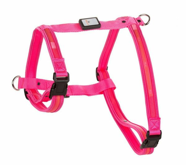 LED USB Rechargeable Dog Harness