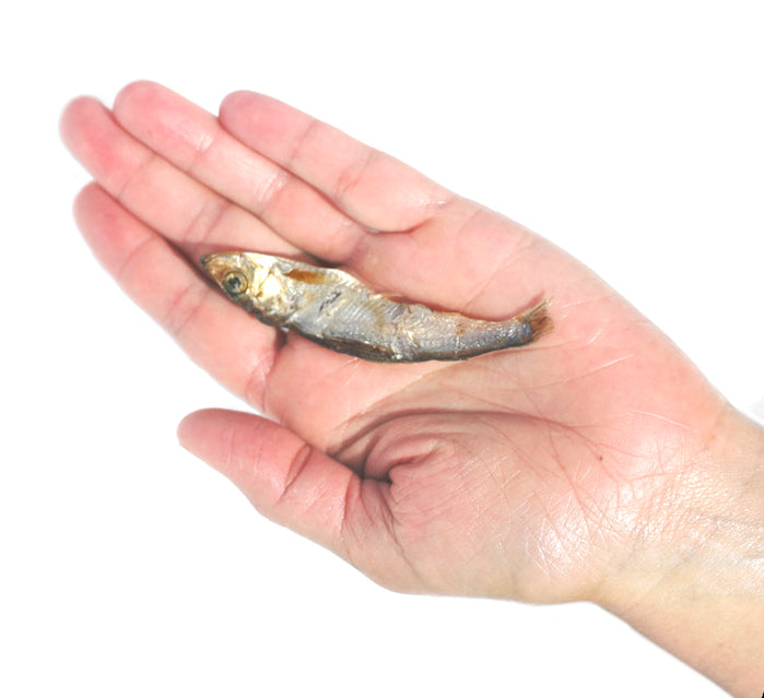 Plato Wild Caught Baltic Sprat Fish 3oz