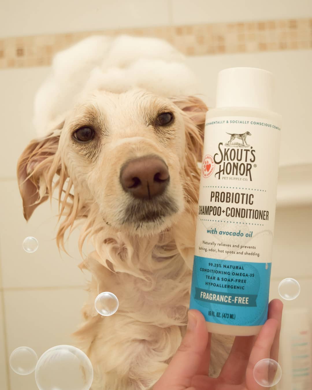 Skout's Honor Probiotic Shampoo+Conditioner Fragrance-Free (16oz)