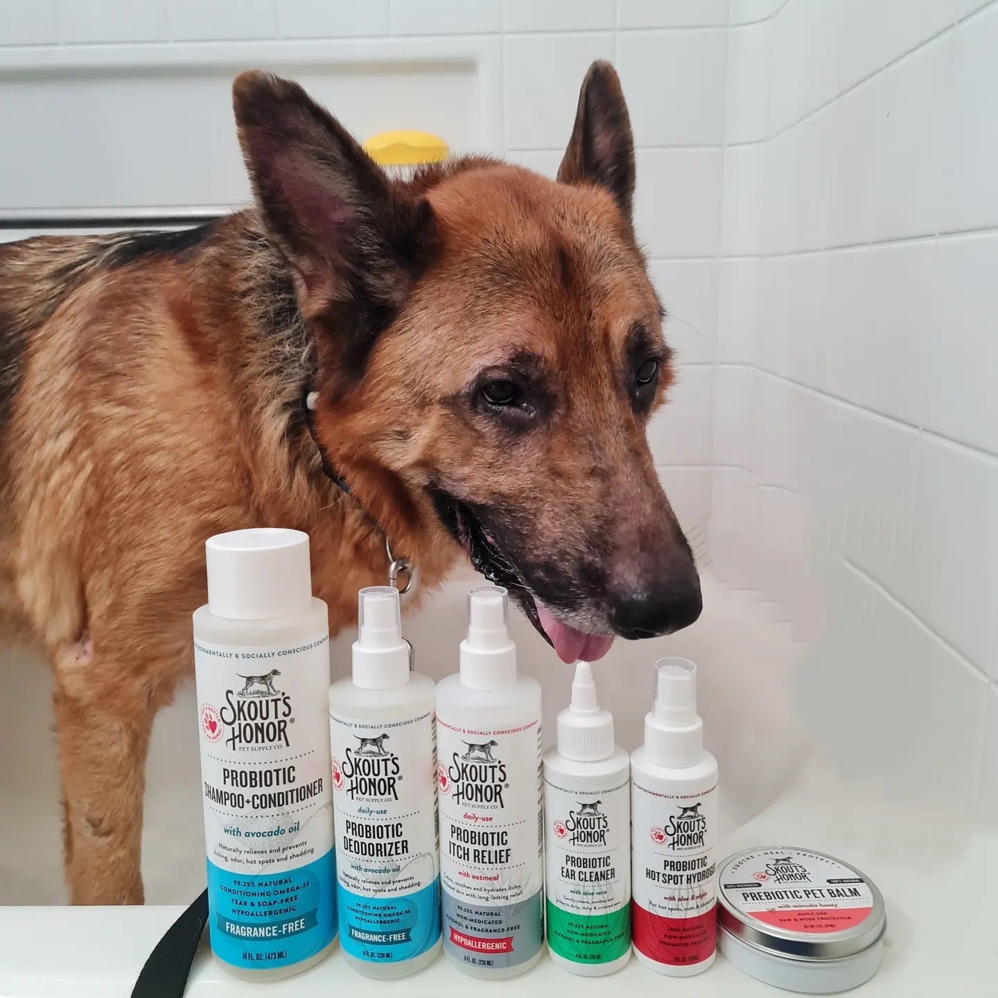 Skout's Honor Probiotic Shampoo+Conditioner Fragrance-Free (16oz)