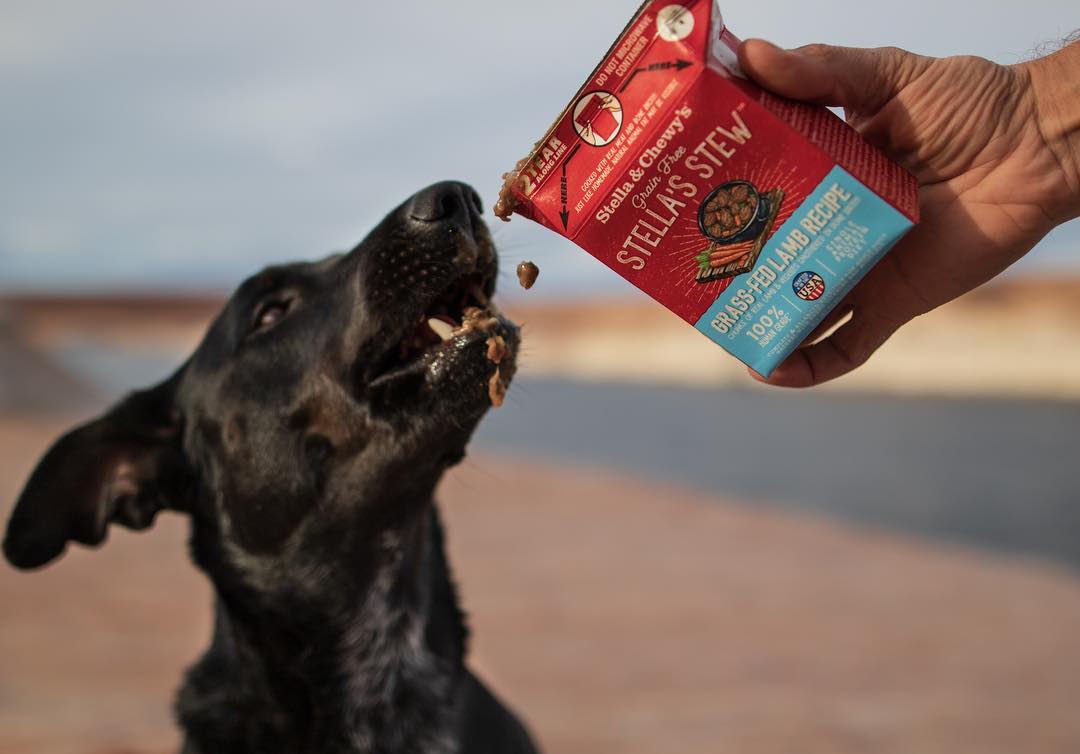 Stella&Chewy's Dog Wet Food - Grass-Fed Lamb Stew