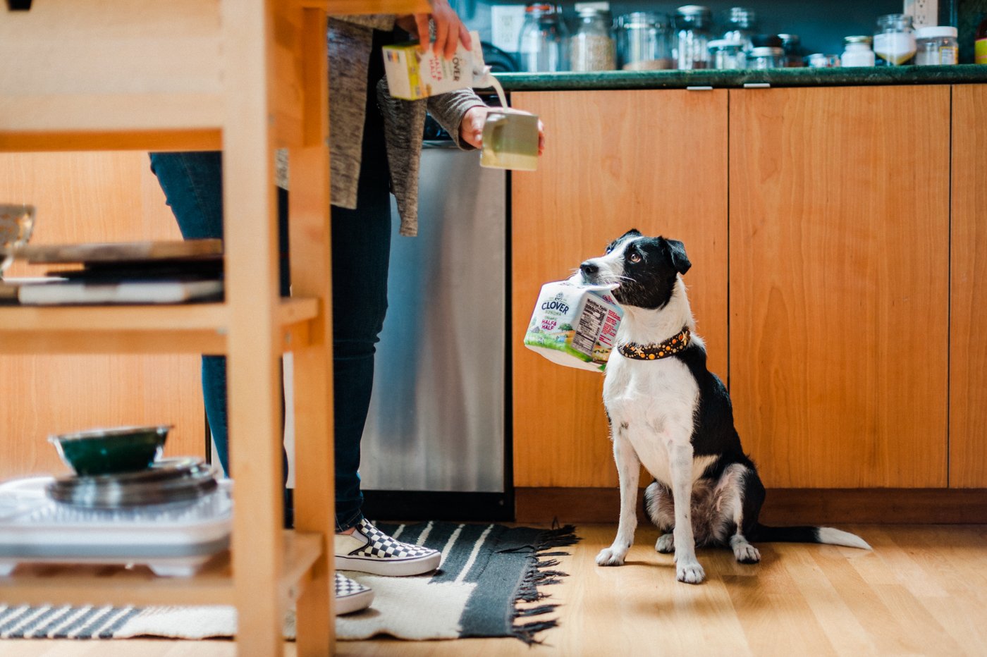 Clover Sonoma Canine Carton