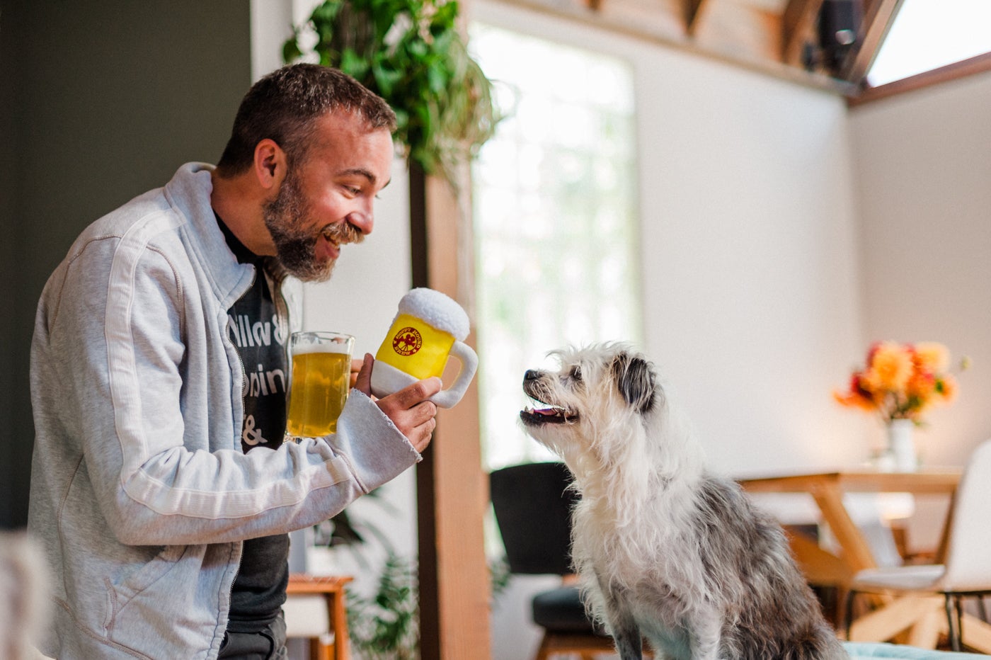 Hollywoof Cinema Hoppy Hound Brew