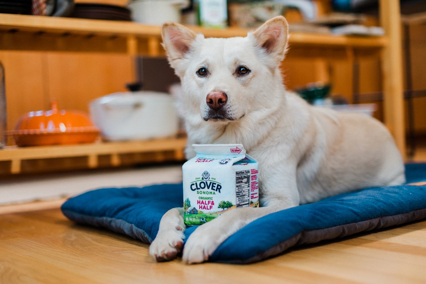 Clover Sonoma Canine Carton