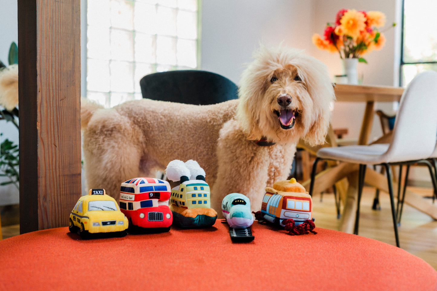 Canine Commute - Taxi