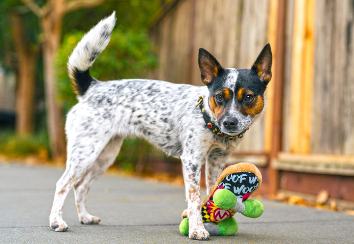 90s Classics - Kickflippin' K9 Skateboard