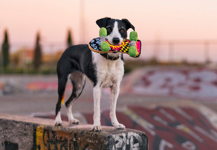 90s Classics - Kickflippin' K9 Skateboard