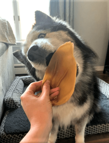 Whimzees Veggie Ear