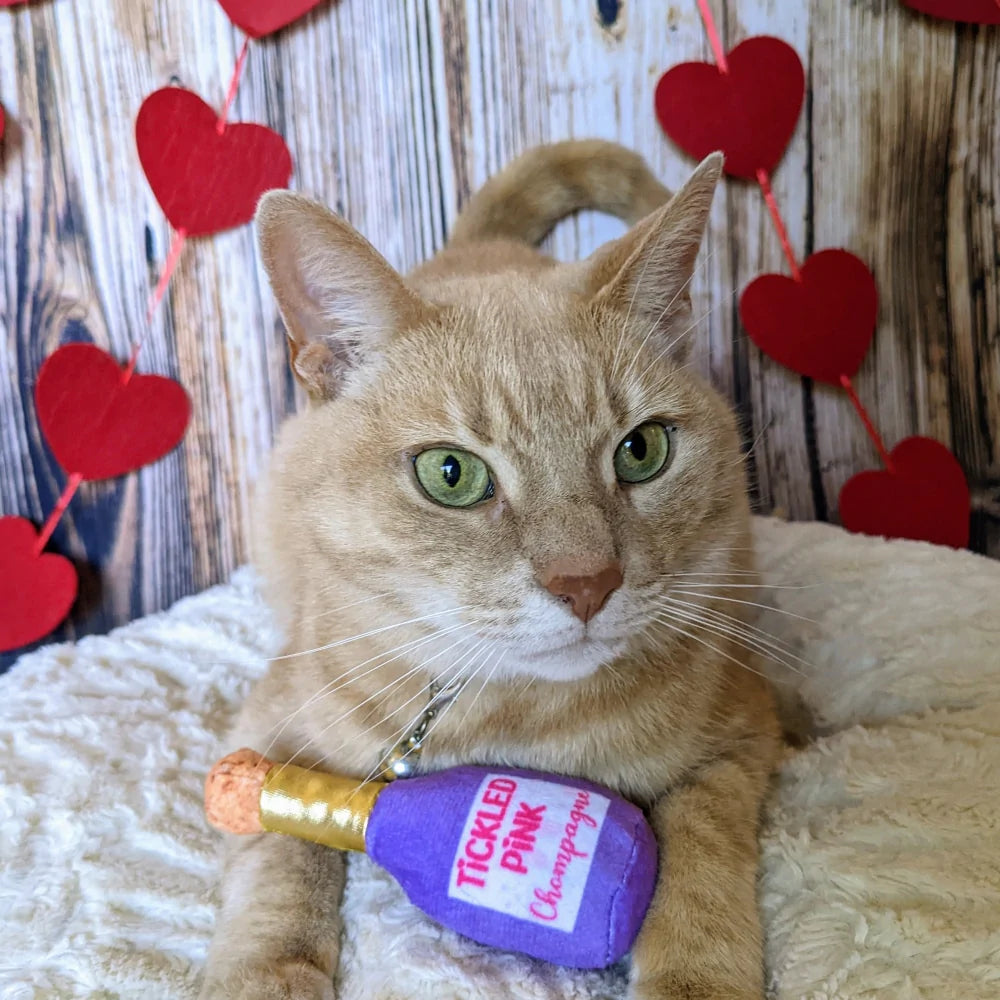 Tickled Pink Chompagne Cat Toy