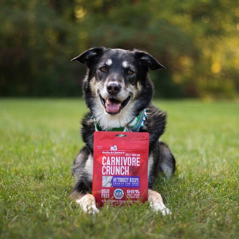 Stella&Chewy's Carnivore Crunch Turkey