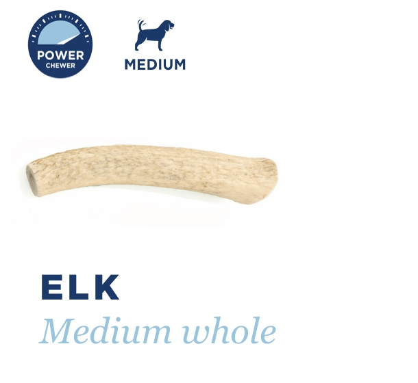 Barkworthies Elk Antler - Whole, Small *