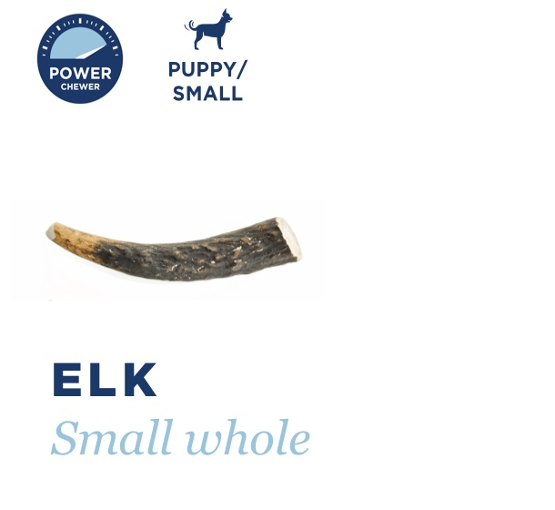 Barkworthies Elk Antler - Whole, Small *