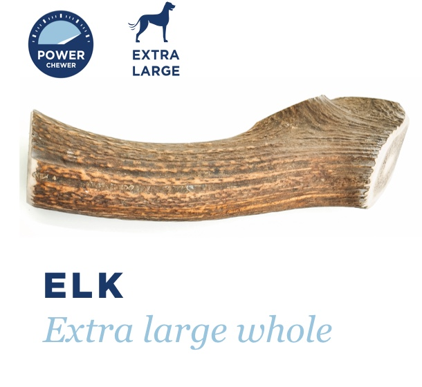 Barkworthies Elk Antler - Whole, Small *