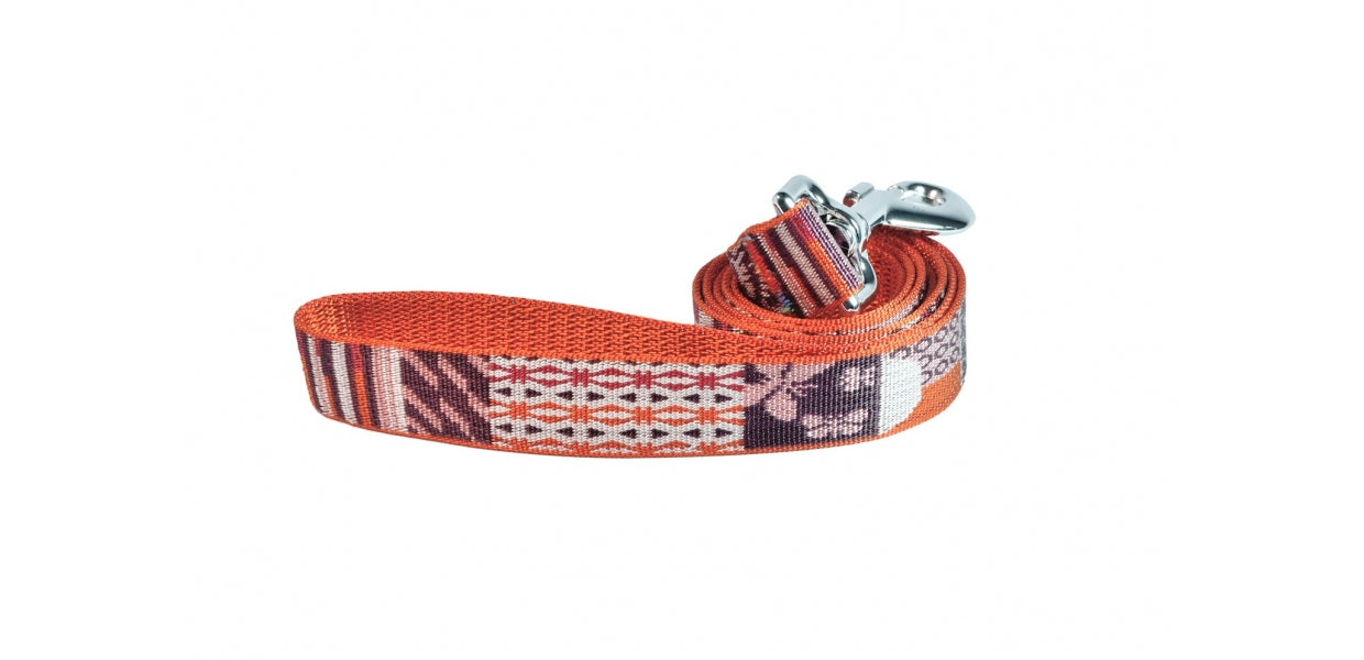 Les Mâtins Coquins Dog Leash - Vintage Orange