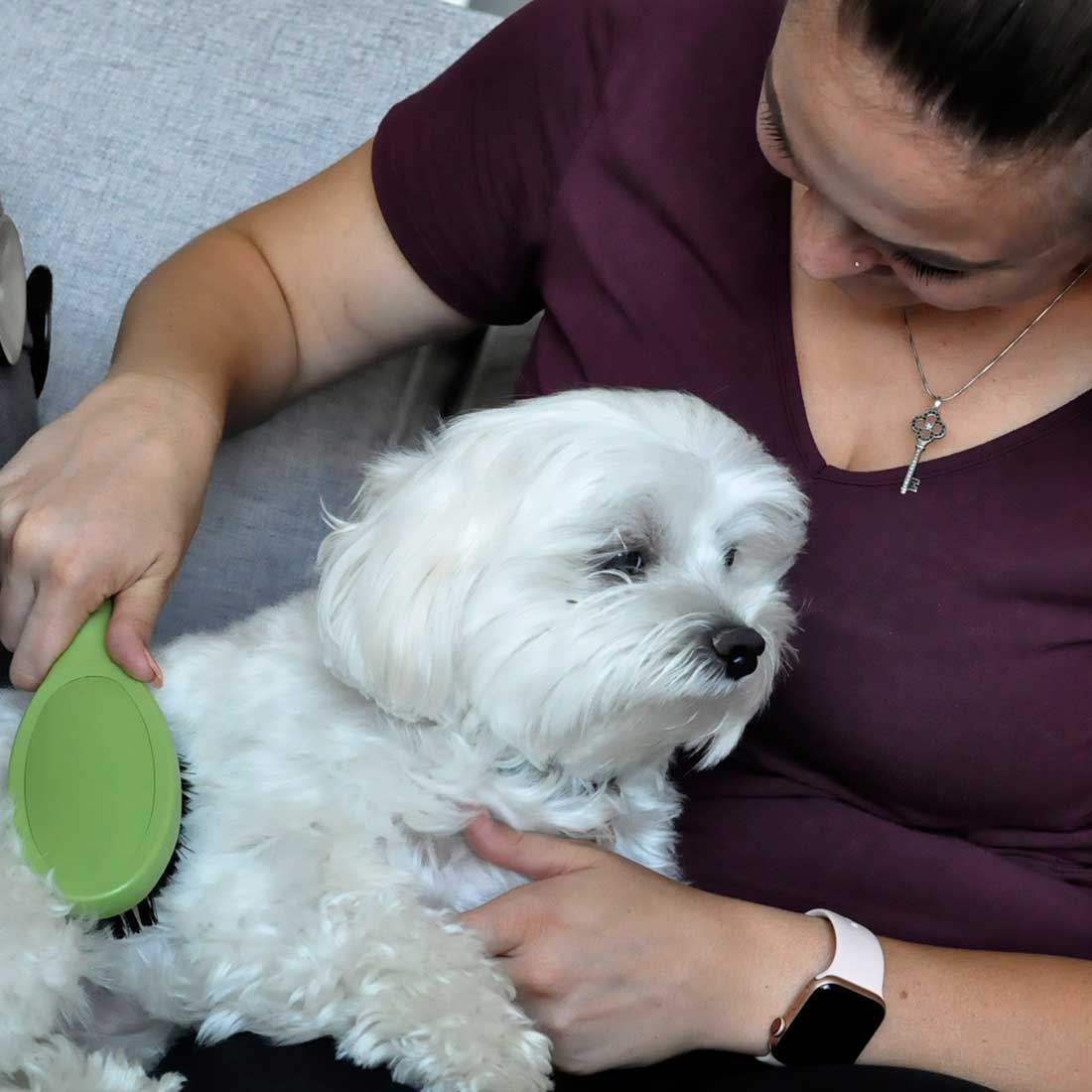 Safari Bristle Dog Brush