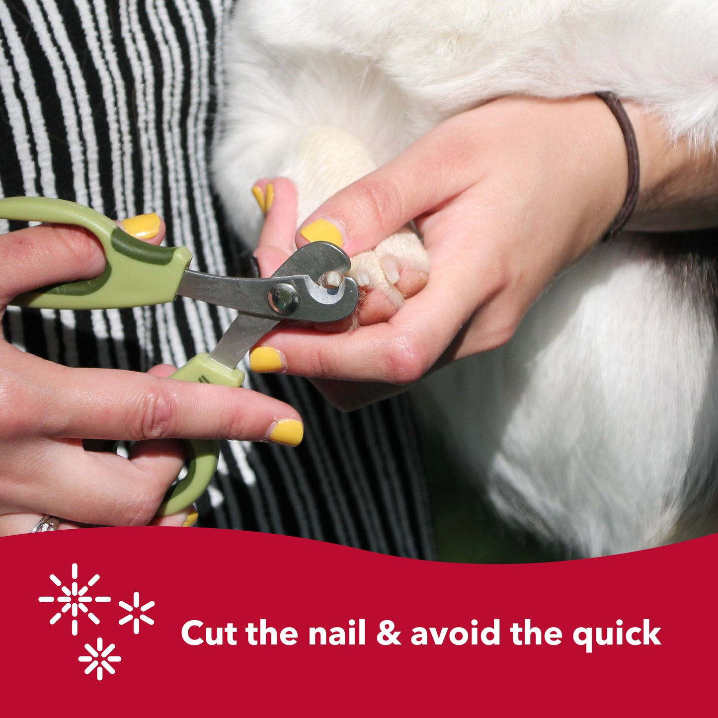 Safari Dog Deluxe Nail Trimmer