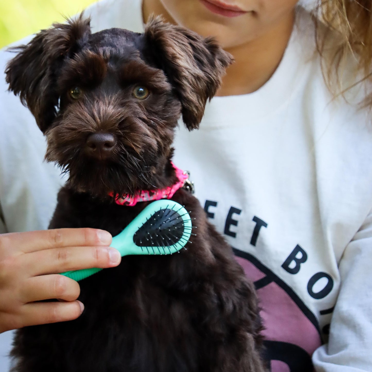 Li'l Pals Dog Combo Brush