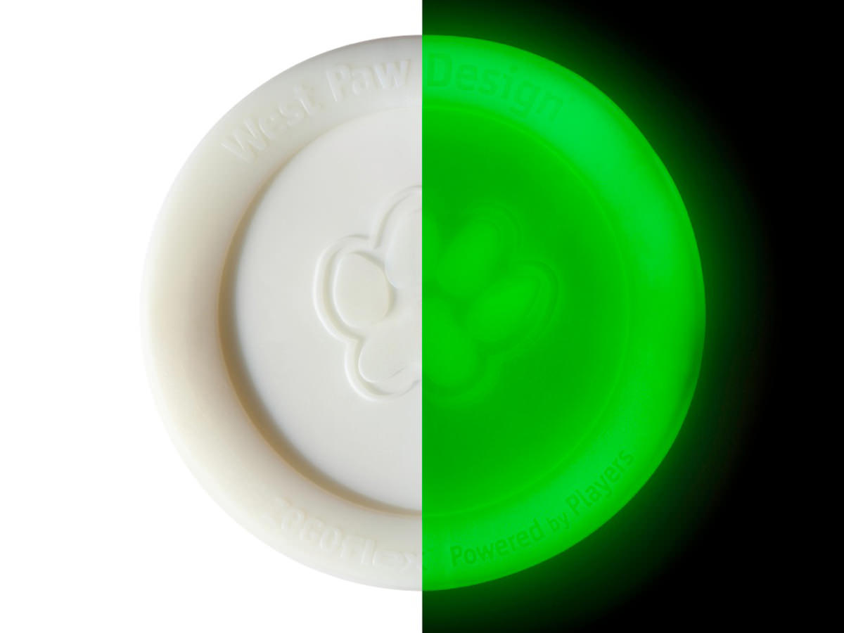 Zisc Flying Disc