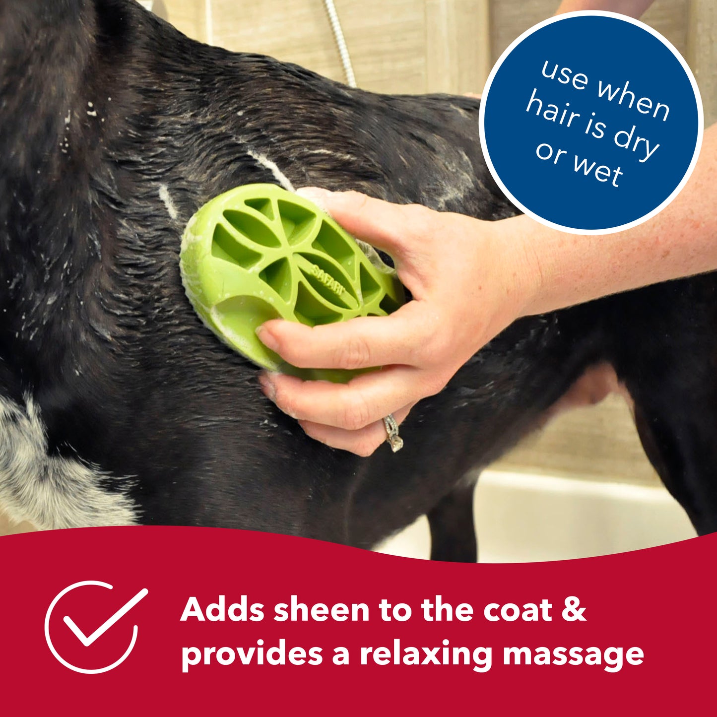 Safari Dog Comfort Grip Curry Brush