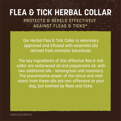 Nature's Protection Flea & Tick Herbal Collar for Dogs