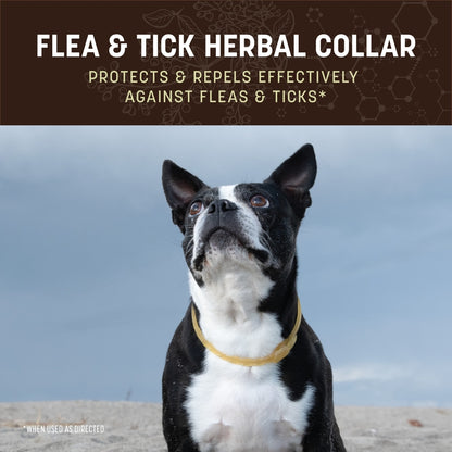 Nature's Protection Flea & Tick Herbal Collar for Dogs